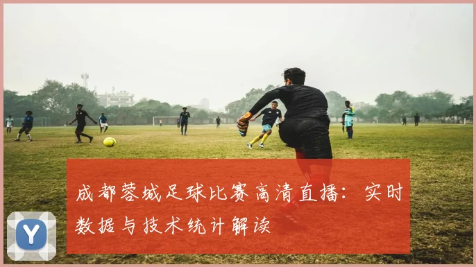 成都蓉城足球比赛高清直播：实时数据与技术统计解读