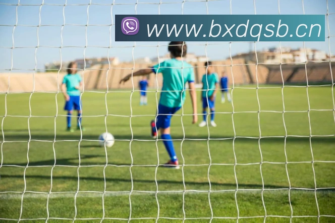 开云官方手机登录APP 封面图